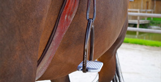 STIRRUPS & STIRRUP STRAPS