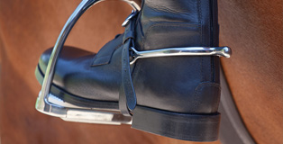 Spurs & Spurs Straps