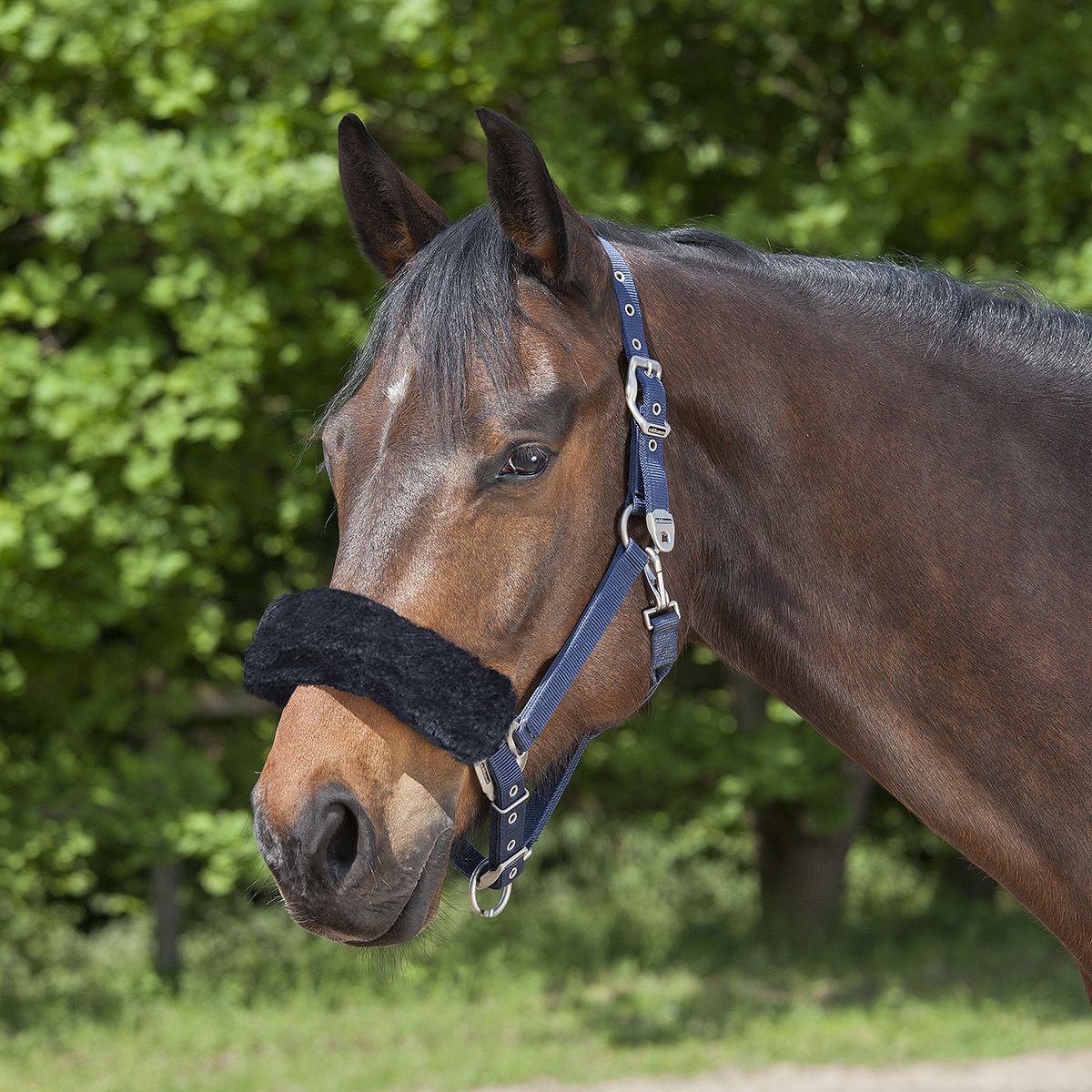 Noseband or Headpiece Cushioning Pads