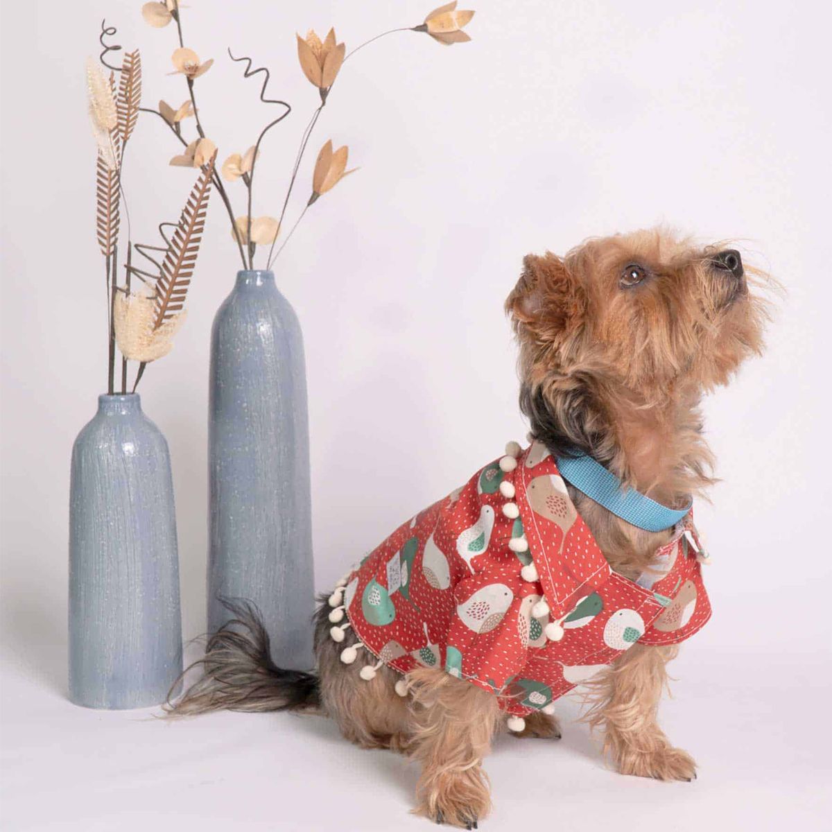 Oli and Lui Dog Shirt Bird on Red