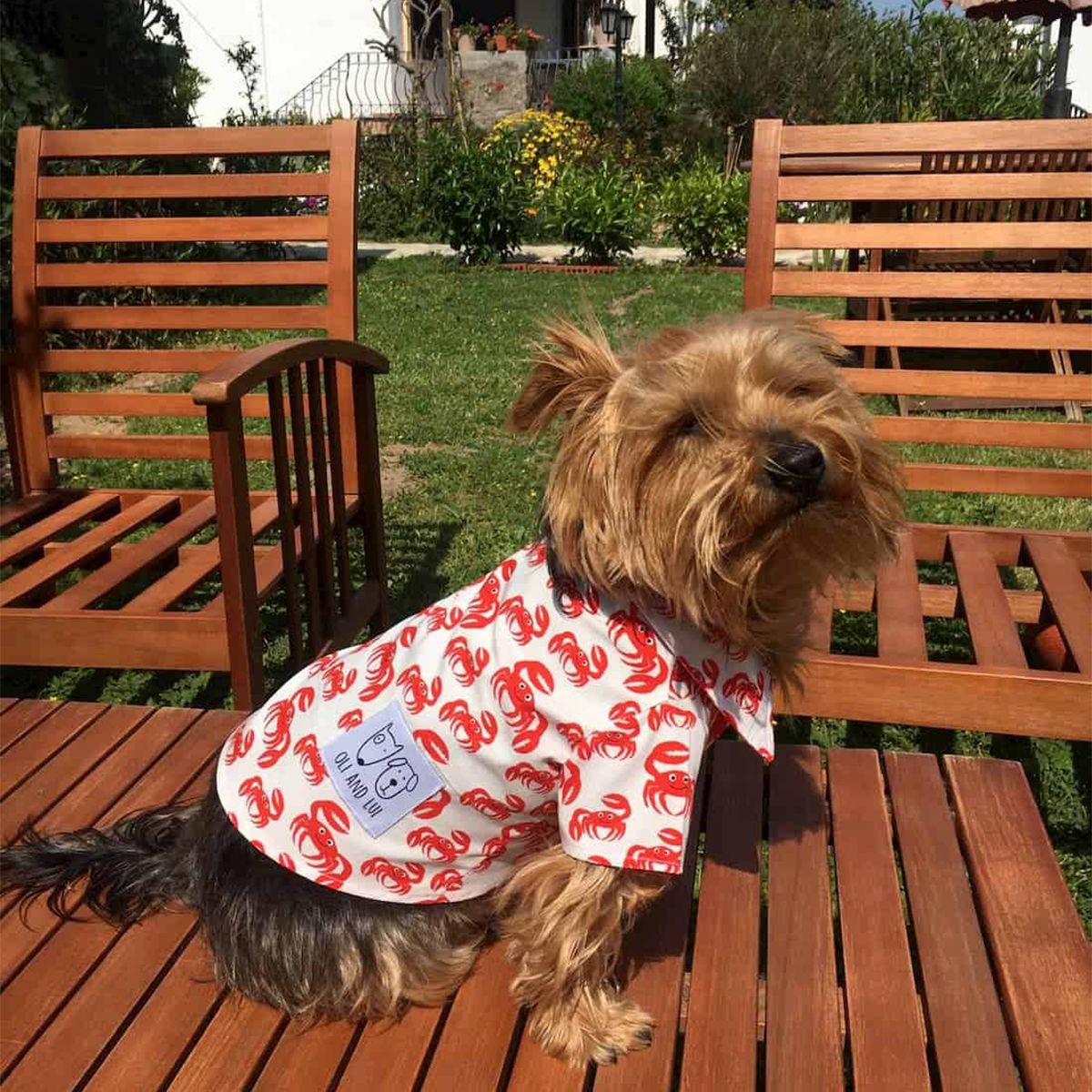 Oli and Lui Dog Shirt Crabs