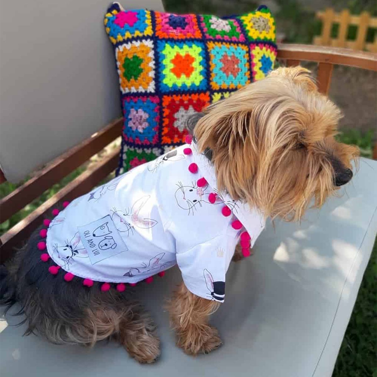 Oli and Lui Dog Shirt Rabbit