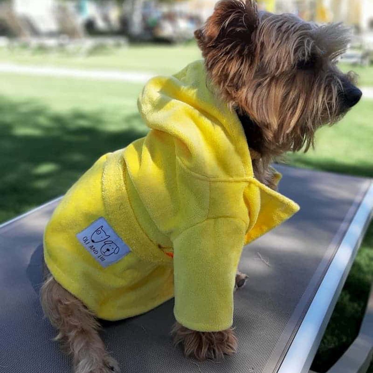 Oli and Lui Dog Bathrobe Lemon