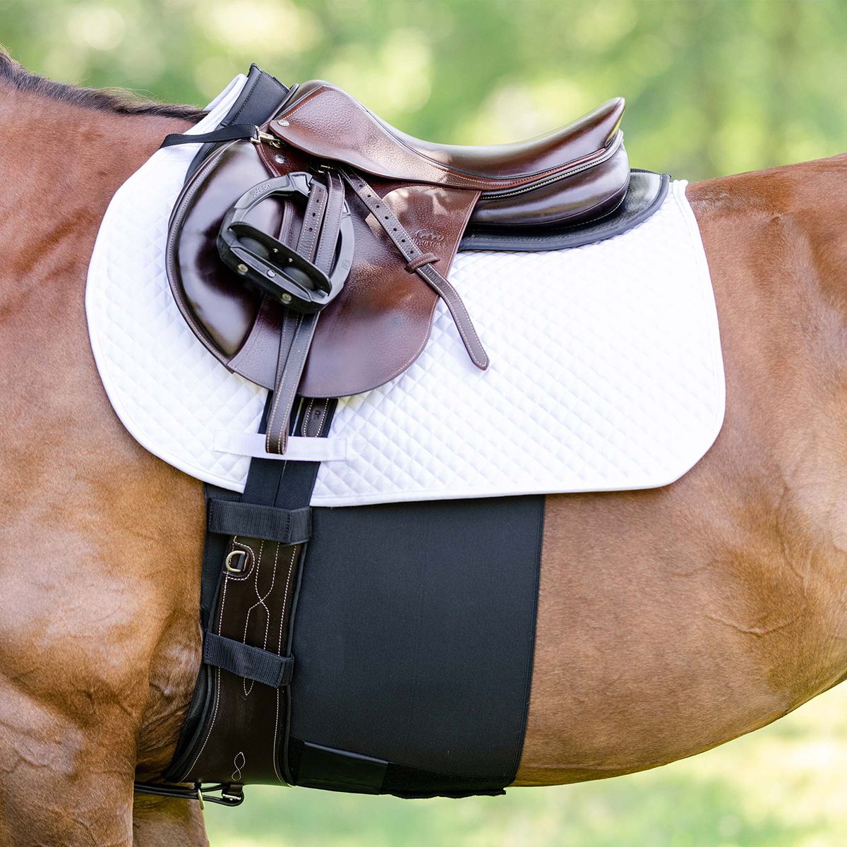 Equifit Bellyband Plus