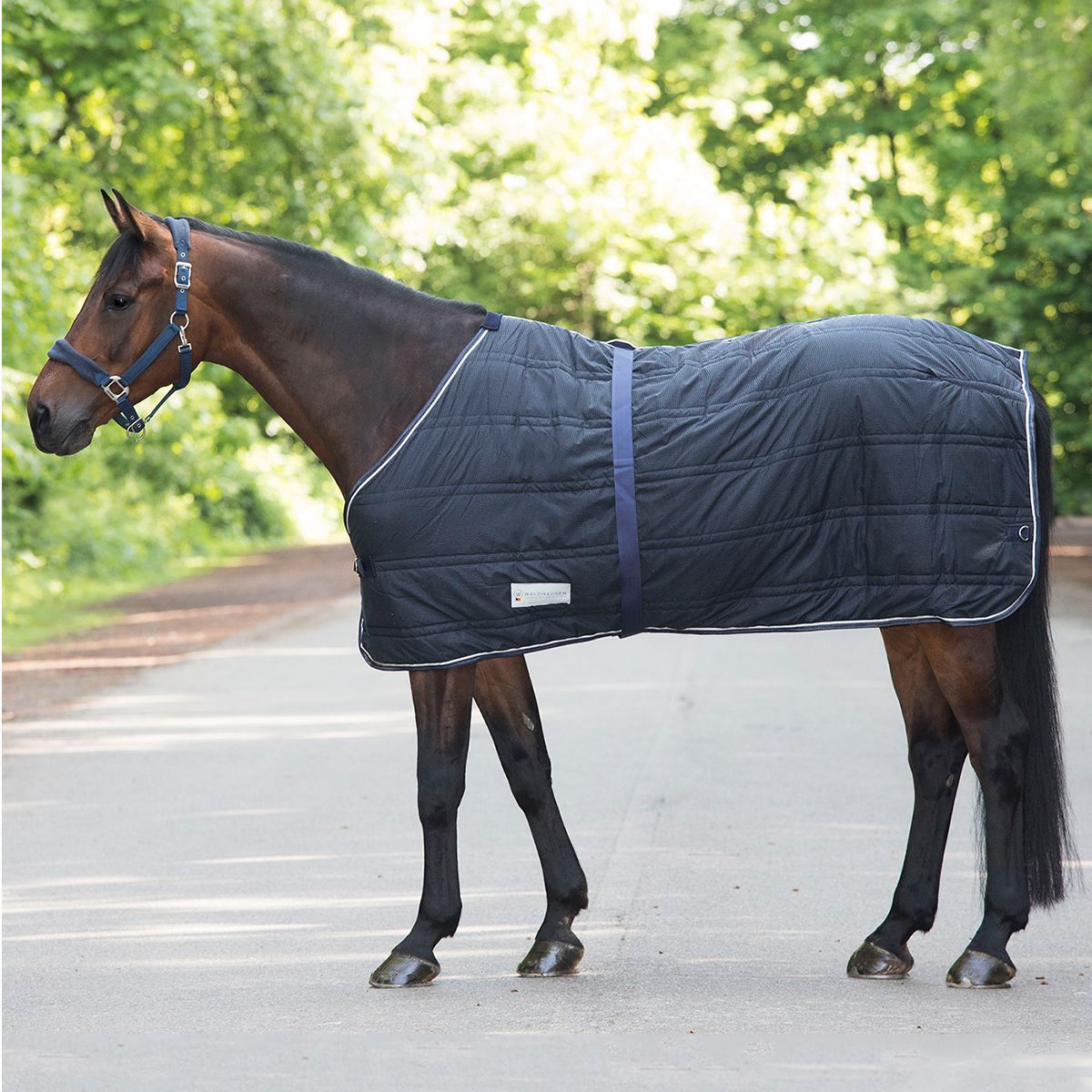 Economic Thermal Antislip Under Rug 100 g-135 cm