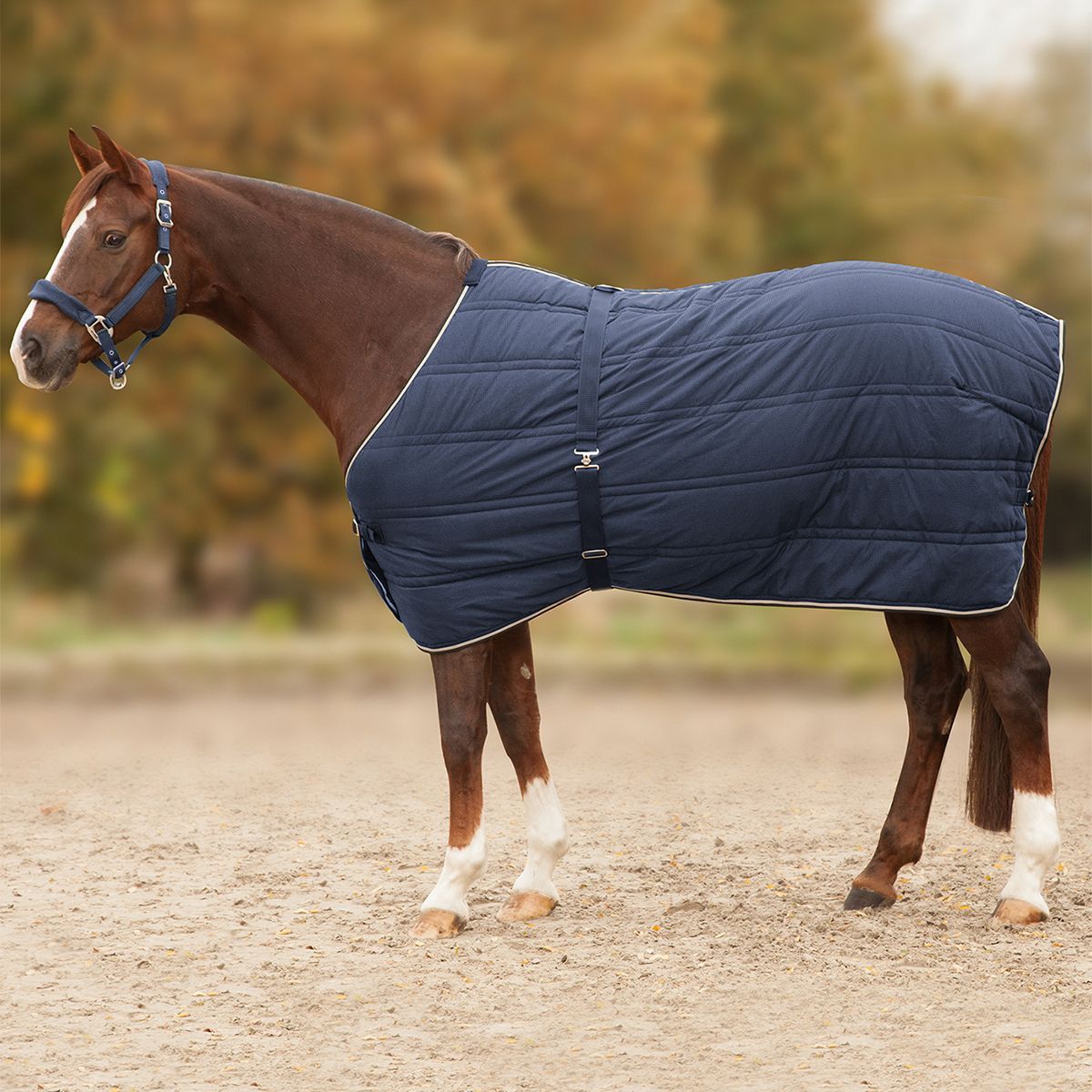 Economic Thermal Antislip Under Rug 300 g-125 cm