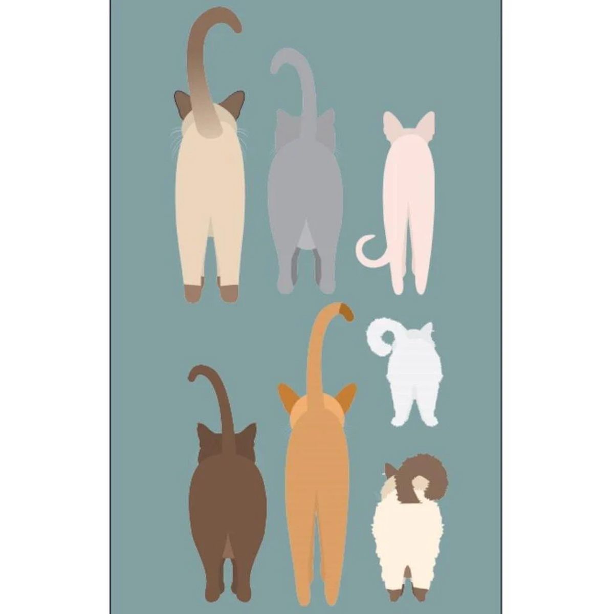 Dreamers & Schemers Cats Socks