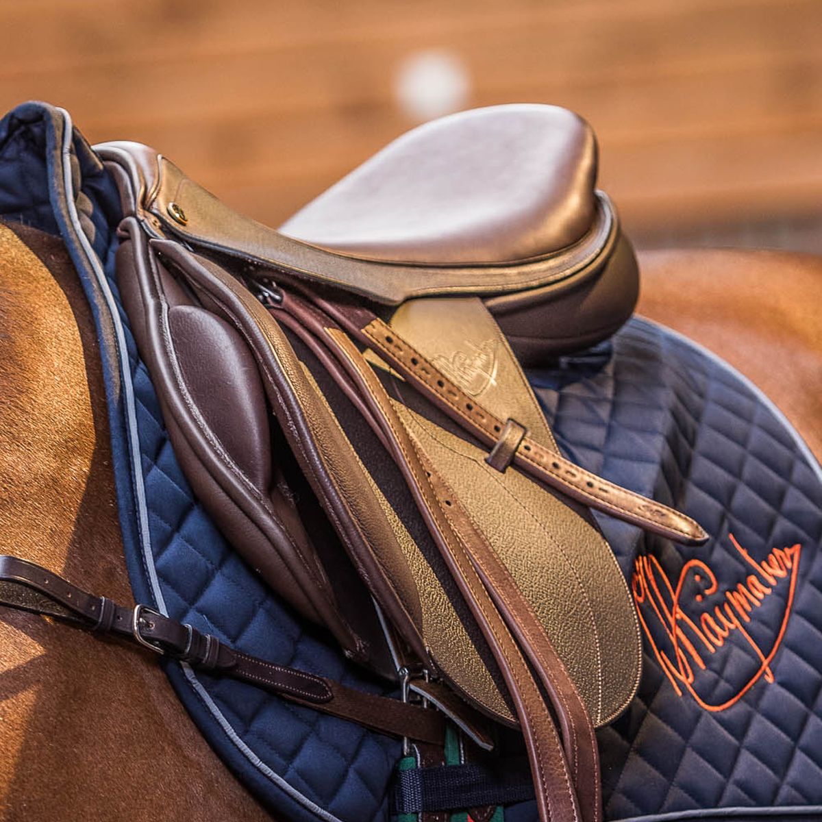 Team Piet Raijmakers Saddle Ratina