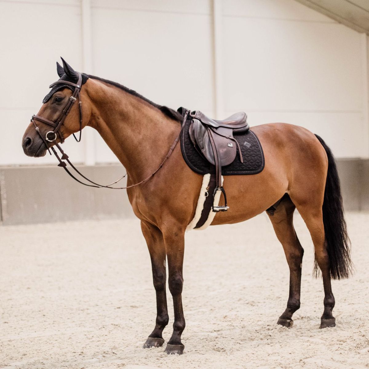 Kentucky Saddle Pad Glitter Rope Dressage