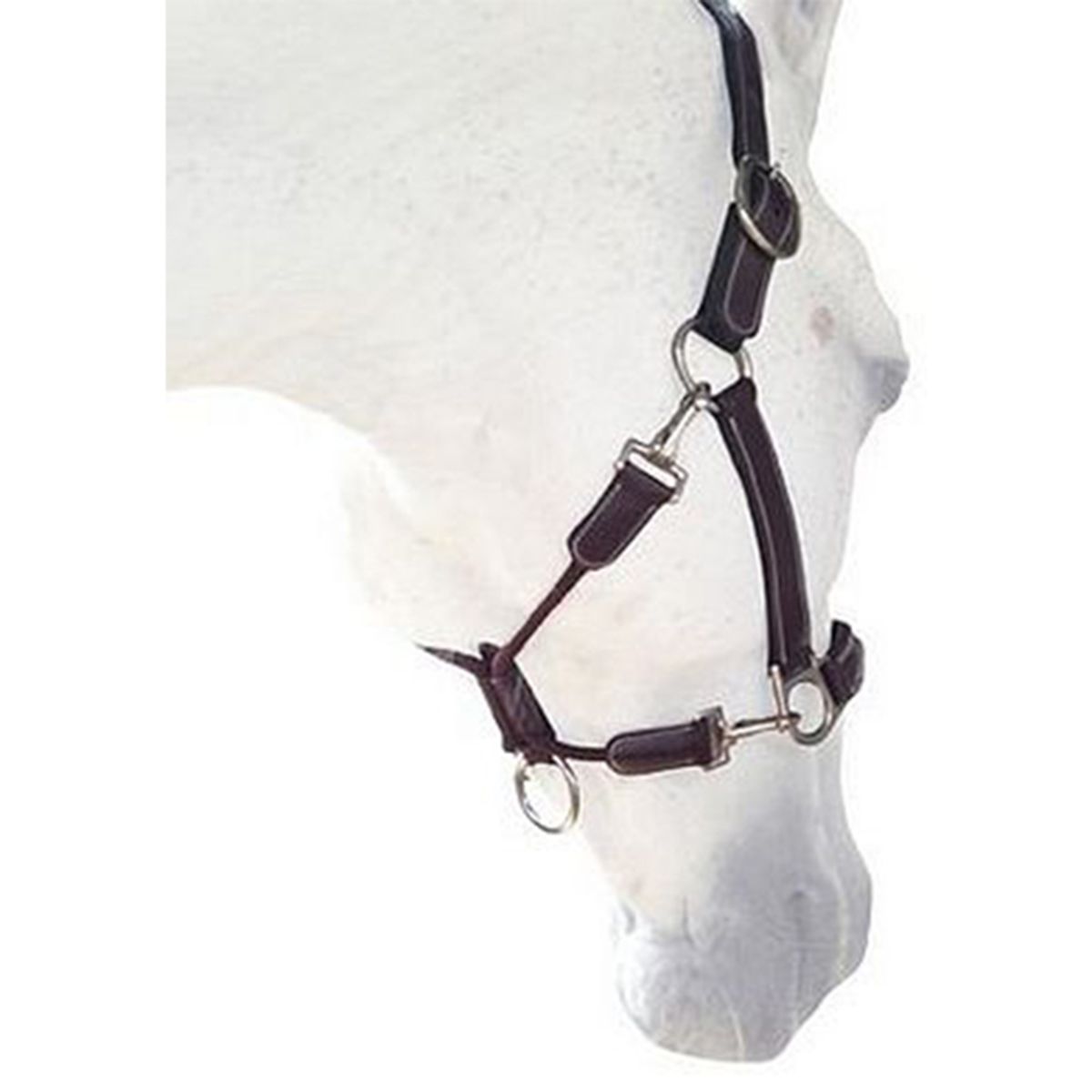 Silver Crown Grooming Halter