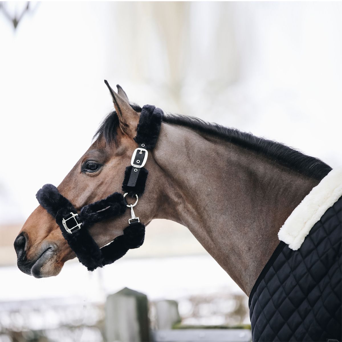 Kentucky Sheepskin Shipping Halter