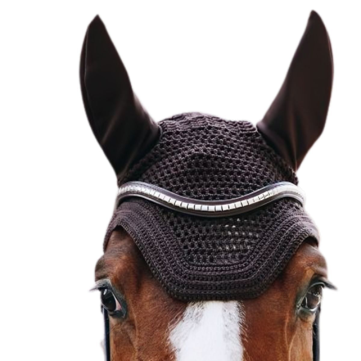 Kentucky Fly veil Wellington