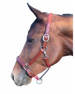 Silver Crown Classic Halter